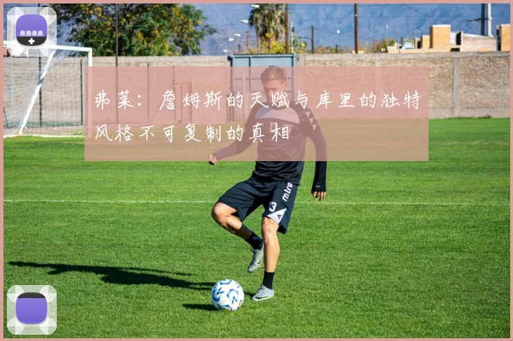 弗莱：詹姆斯的天赋与库里的独特风格不可复制的真相