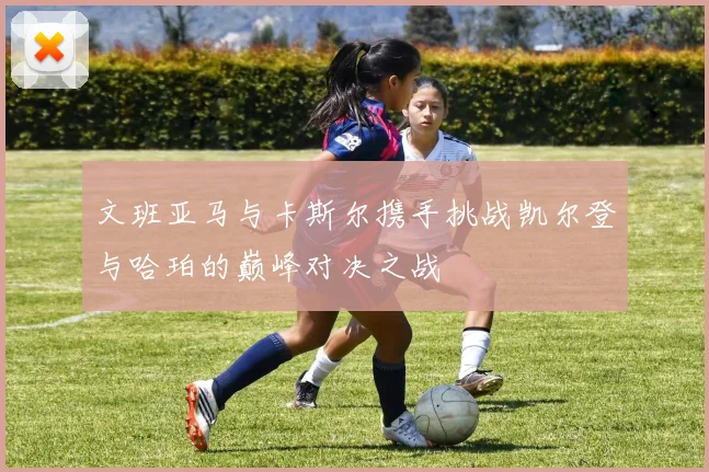 文班亚马与卡斯尔携手挑战凯尔登与哈珀的巅峰对决之战