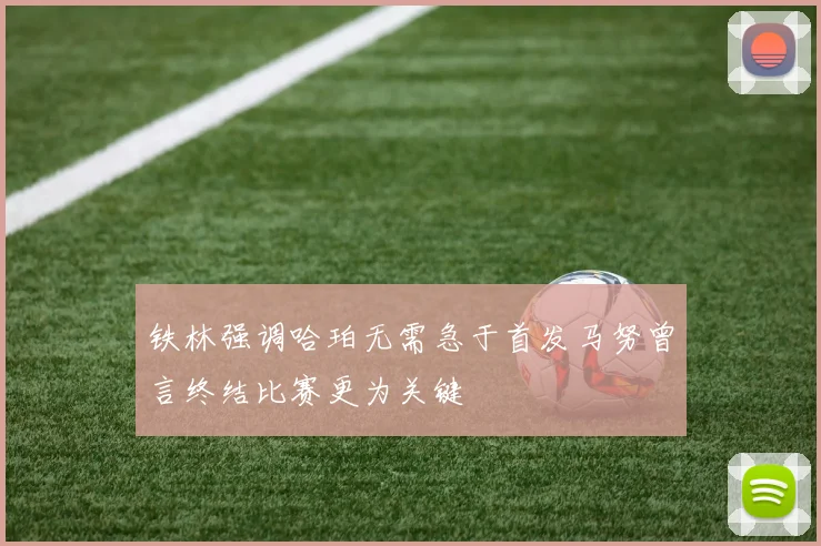 铁林强调哈珀无需急于首发马努曾言终结比赛更为关键