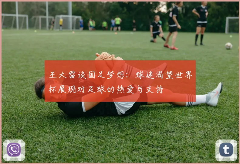 王大雷谈国足梦想：球迷渴望世界杯展现对足球的热爱与支持